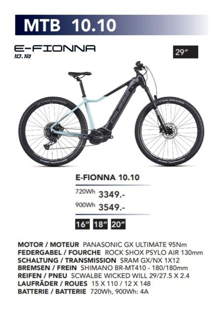 E-Fionna-1010pdf