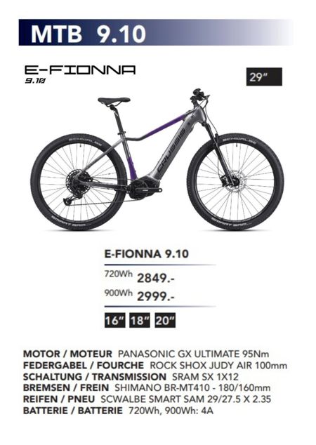 E-Fionna-910pdf