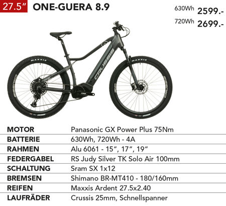 ONE-Guera-89