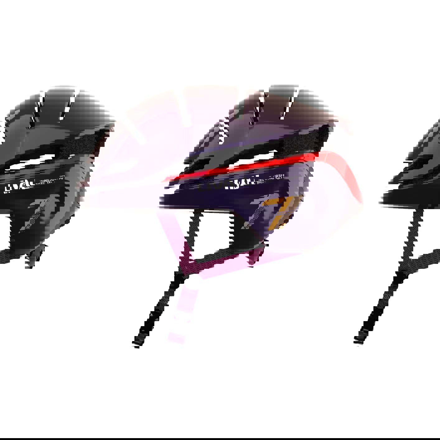 EVO21viloett01